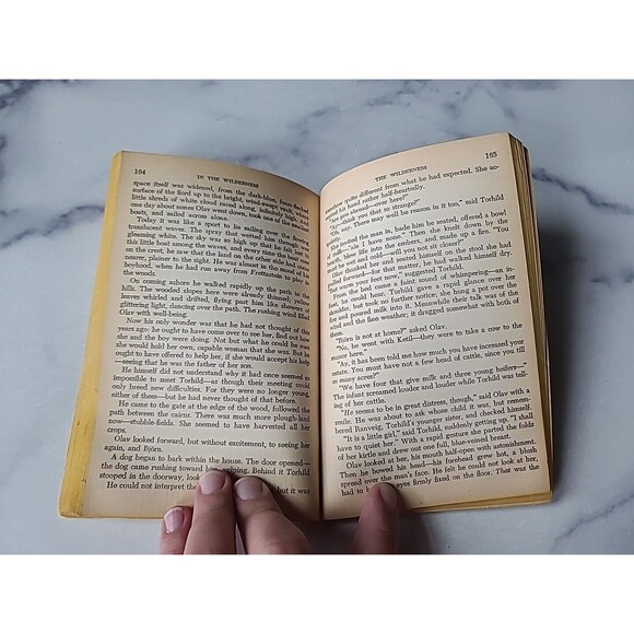 In The Wilderness By Sigrid Undset Paperback - Picture 7 of 10